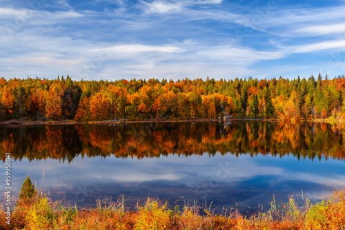 Autumn Landscape Background