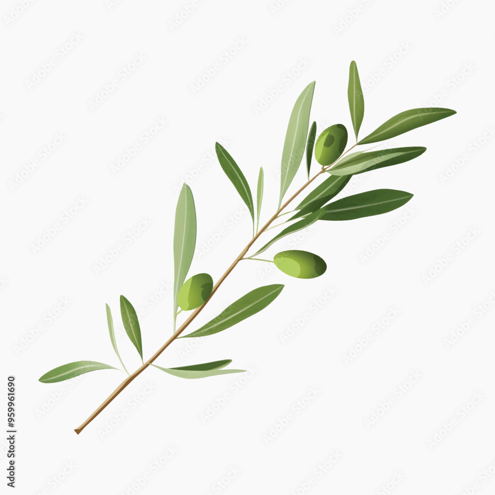 Fototapeta premium Olive branch with green olives