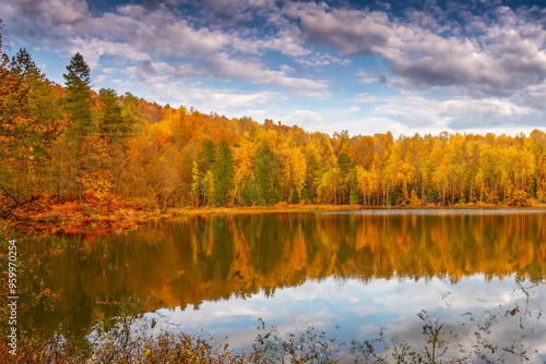 Autumn Landscape Background