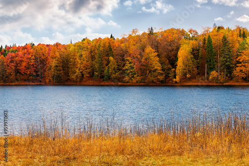 Autumn Landscape Background