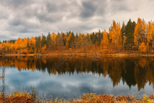 Autumn Landscape Background