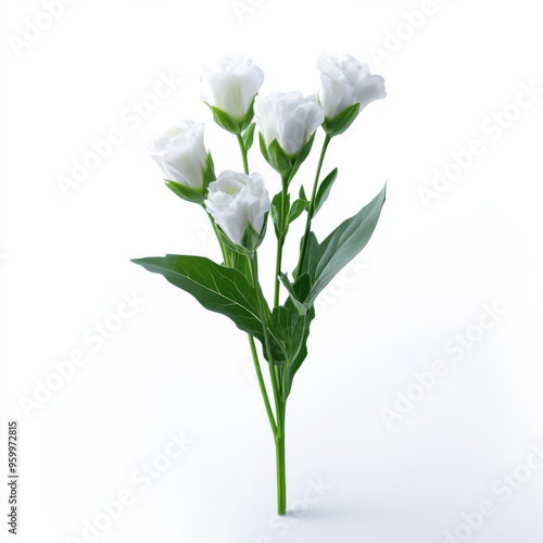 Elegant arrangement of white lisianthus flowers with green leaves, isolated on a clean white background, emphasizing simplicity and beauty.