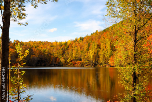 Autumn Landscape Background