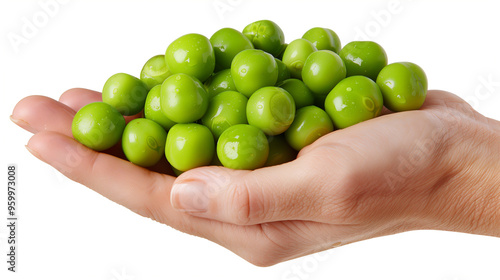 hands holding green peas on white background, a vegetarian diet 