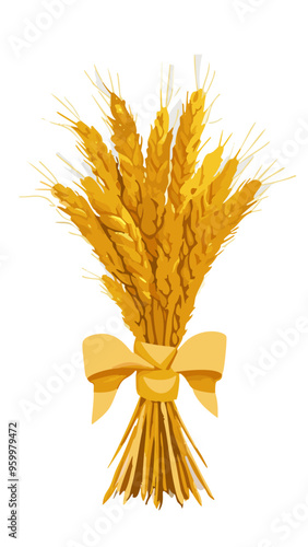 Spikelets of wheat tied with a bow isolated on white