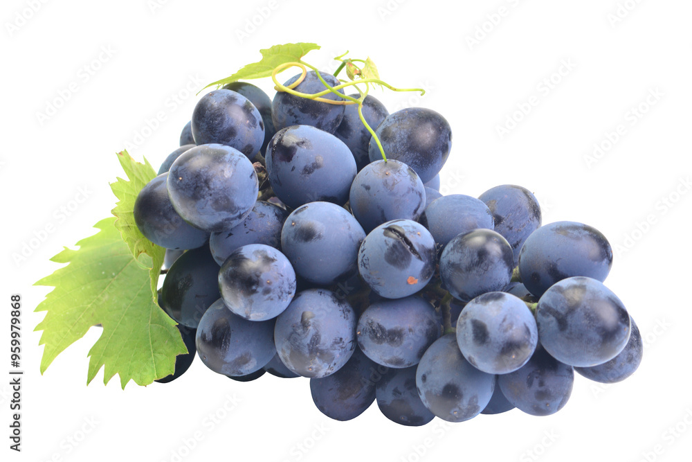 Bunch grapes isolated on white