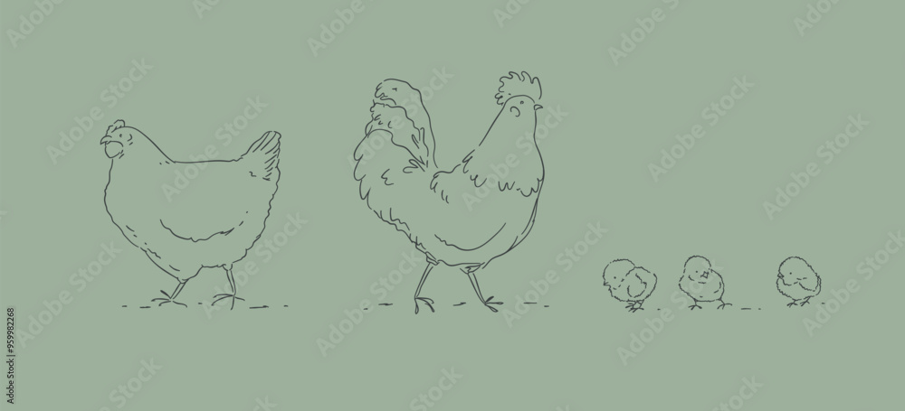 Hen chicks and rooster, chicken farm family drawing on green background