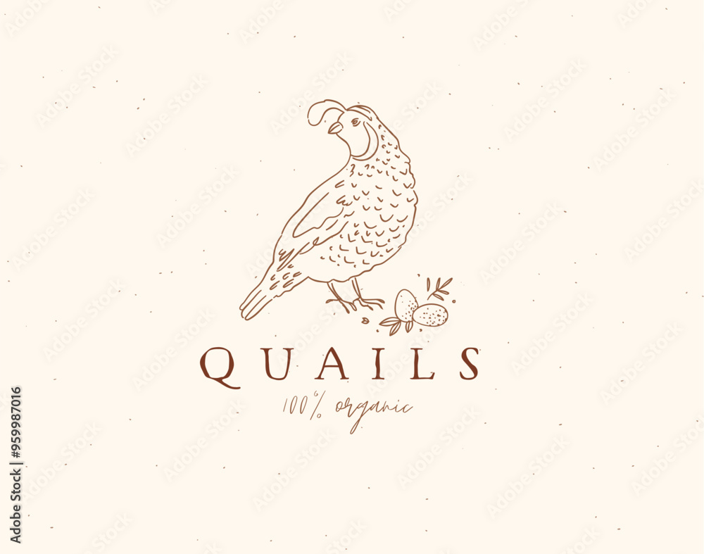 Quail 100 organic farm meat illustration drawing on beige background