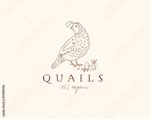 Obraz na płótnie Quail 100 organic farm meat illustration drawing on beige background w salonie