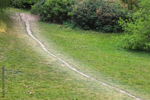 Desire path trampled grass in park in Europe