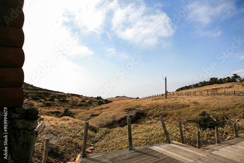 Meadow on Halla Mountain in Jeju Island photo