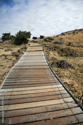 View of the walkway on Halla Mountain in Jeju Island