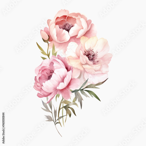 Elegant watercolor pink floral illustration