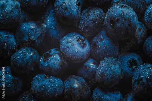 Incredible sight of purple blueberries shimmering in drops of water. Wet drop blueberrie background.