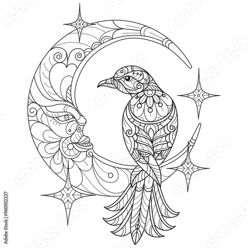 Bird on the moon hand drawn for adult coloring book
