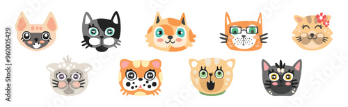 Funny Cat Muzzle and Smiling Snout Vector Set