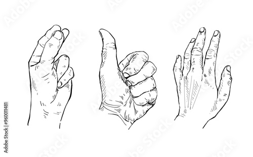 Illustration Hand drawn Set Human hand Action Sketch ink style on white background.