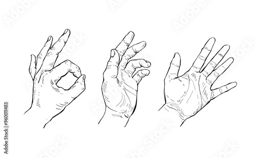 Illustration Hand drawn Set Human hand Action Sketch ink style on white background.