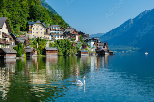 Serene summer morning at Hallstatt, Austria with swan gliding across tranquil waters photo