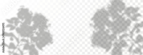 Blurred shadows from leaves and plants in the room. Soft overlay of natural light. Abstract background for product presentation.