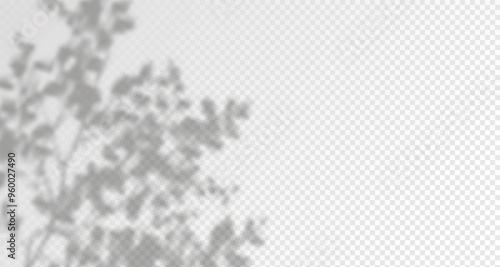 Blurred shadows from leaves and plants in the room. Soft overlay of natural light. Abstract background for product presentation.