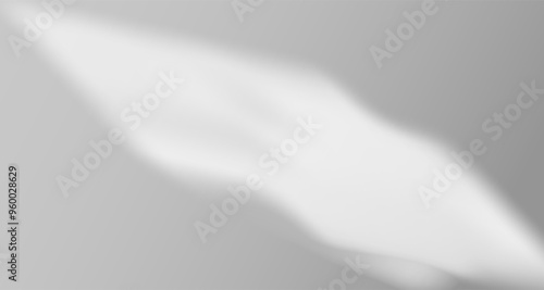 Glare from the sun's rays on the wall. Blurred shadows from leaves and plants in the room. 