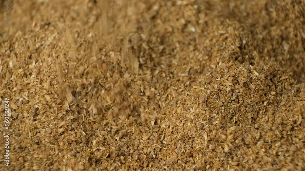 Ground coriander asian seasoning spice pouring macro slow motion Ground coriander asian seasoning spice pouring macro slow motion