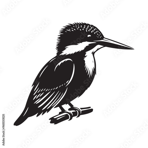 Majestic Kingfisher Bird Silhouette in High-Quality Black Vector – Artistic Wildlife Design Element on a White Background for Posters, Prints, and Digital Projects photo