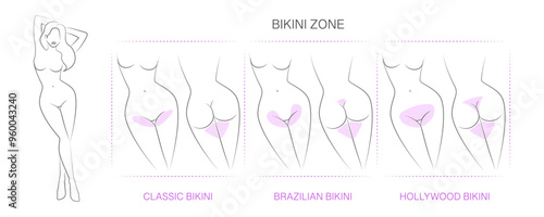 Diagram with designated areas for hair removal. Borders for hair removal: Classic bikini, Brazilian bikini, Hollywood bikini. Female epilation, depilation for girls.