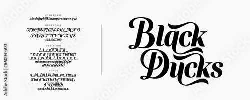Elegant Bold Font Uppercase Lowercase And Number. Classic Lettering Minimal Fashion Designs. Typography modern serif fonts regular decorative vintage concept. vector illustration