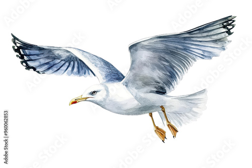 Watercolor illustration of a seagull in flight, showcasing detailed feathers and a striking natural pose against a transparent background.
