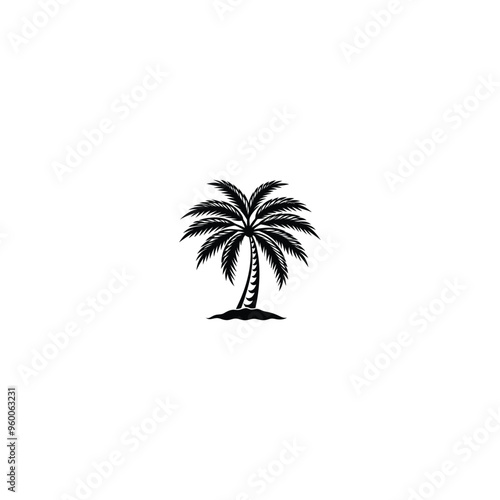 palm tree silhouette