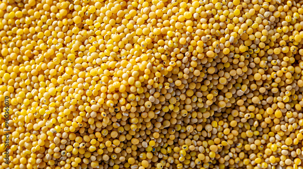 A close-up shot of raw millet grains, showcasing their small round shape and golden-yellow color. Ideal for themes related to gluten-free diets, healthy eating, and ancient grains. A close-up shot of raw millet grains, showcasing their small round shape and golden-yellow color. Ideal for themes related to gluten-free diets, healthy eating, and ancient grains.
