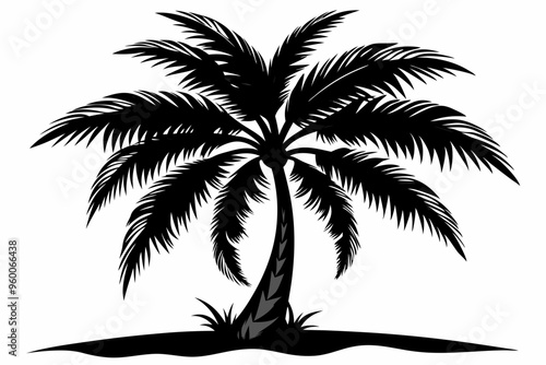 palm tree silhouette,palm tree white background palam tree icon photo