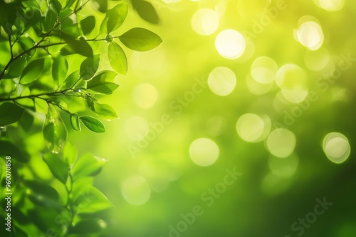 Warm lime green background with soft bokeh