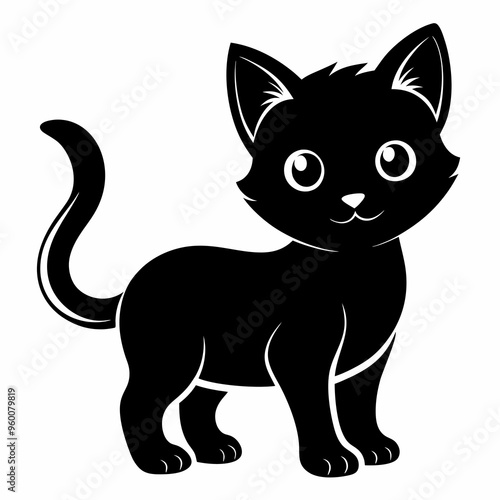 black and white cat