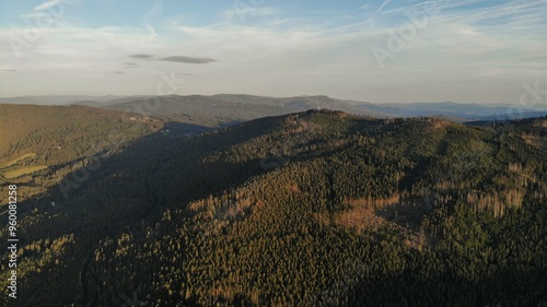 view on a wooded hill in the mountains