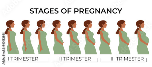 Changes in a woman's body in pregnancy. Flat woman wearing a green dress with changes in a woman's body in pregnancy. The main stages of pregnancy. Pregnancy trimester