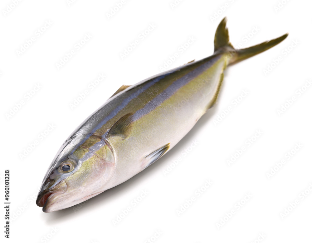 Rainbow runner, this fish is called Tsumuburi in Japan. Rainbow runner, this fish is called Tsumuburi in Japan.