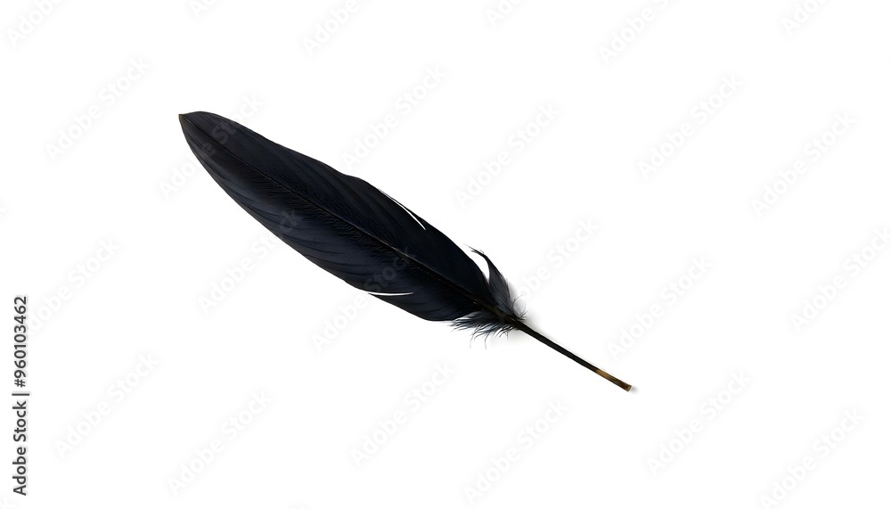 Raven crow feather isolated on a white background Raven crow feather isolated on a white background
