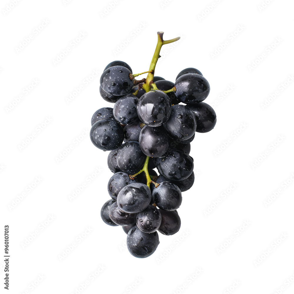 bunch of grapes isolated on white or transparant background bunch of grapes isolated on white or transparant background