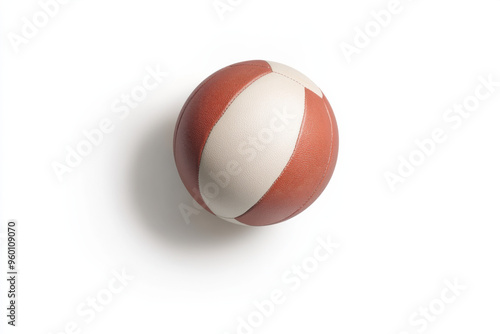 Official Volleyball Isolated on Clean Background