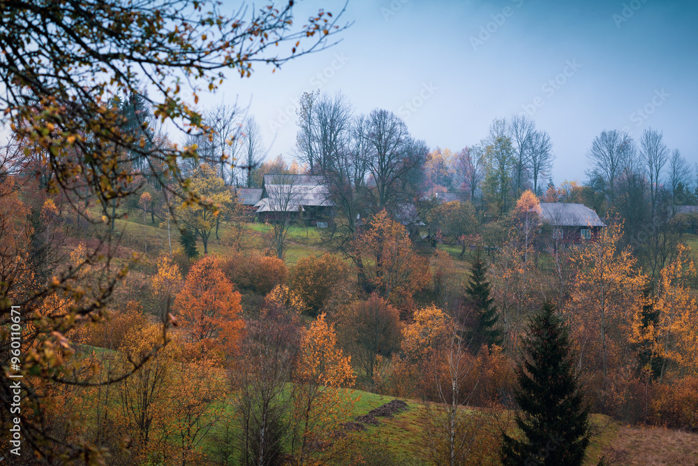 Fototapeta premium a beautiful landscape