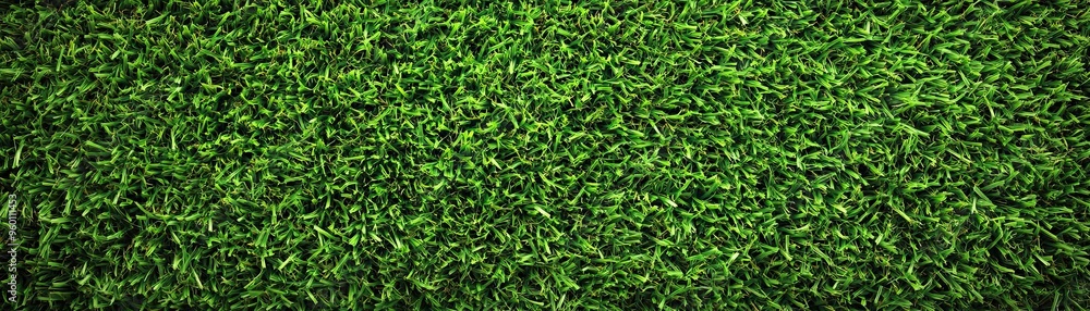 Lush green grass texture, perfect for backgrounds, nature themes, and outdoor designs. Ideal for various creative projects. Lush green grass texture, perfect for backgrounds, nature themes, and outdoor designs. Ideal for various creative projects.