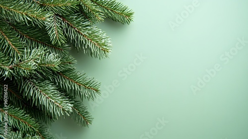 Christmas pine branches on light green background on left side, overhead view, minimalist holiday composition, evergreen sprigs, festive flat lay, soft lighting.