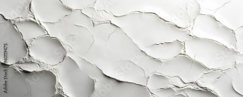 A light white textured surface with a smooth, matte finish, highlighted by intricate, vein-like patterns that resemble delicate cracks in fine porcelain. photo