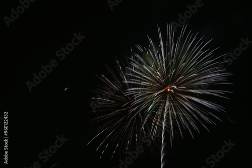 江戸川花火大会 Fireworks