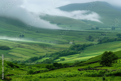 Misty rolling green hills with stone walls and scattered trees, offering a peaceful rural landscape under a soft fog, with a cottage nestled in the valley.