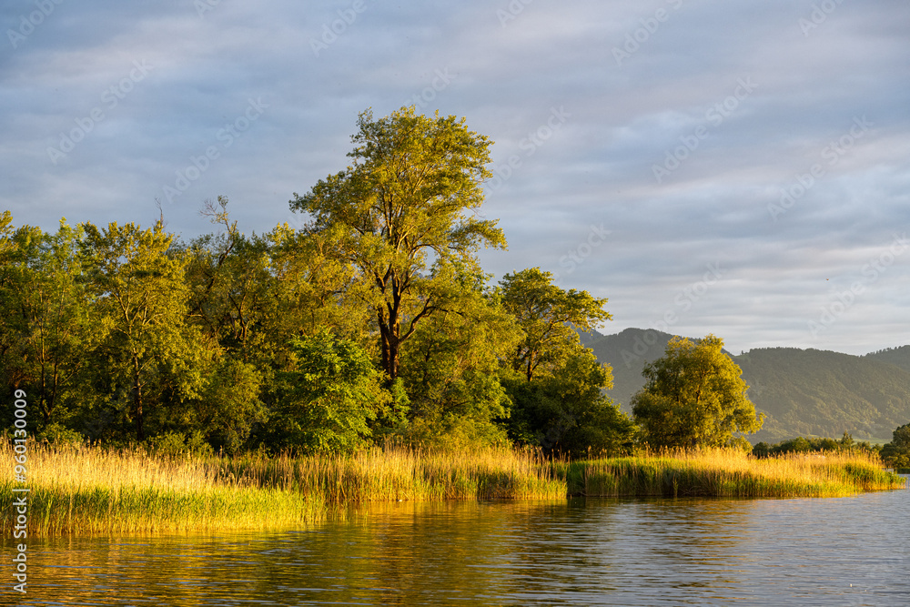 Fototapeta premium Seeufer in der Abendstimmung