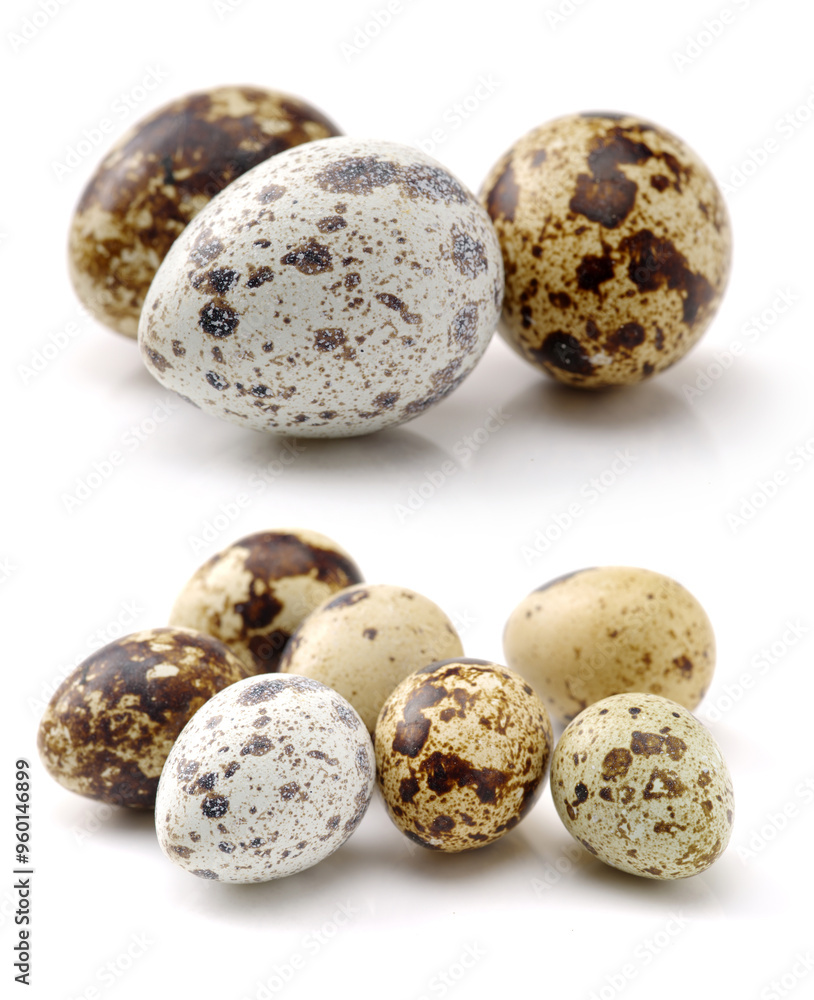 quail eggs on white background quail eggs on white background